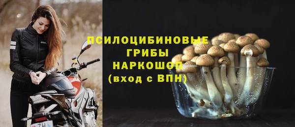 прущий лед Абаза