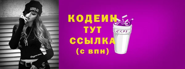 прущий лед Абаза