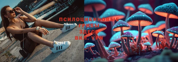a pvp Абдулино