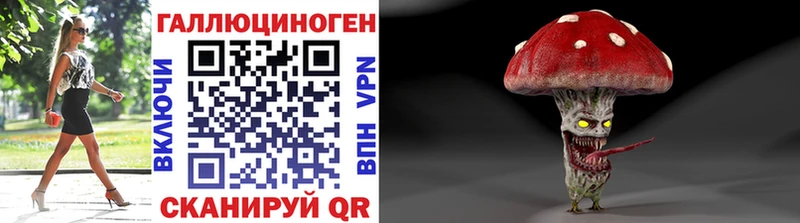 Псилоцибиновые грибы мицелий  Шилка 