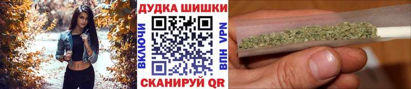 Канабис план  Шилка 